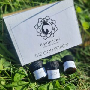 The Collection alle 10 Öle in Testgrößen