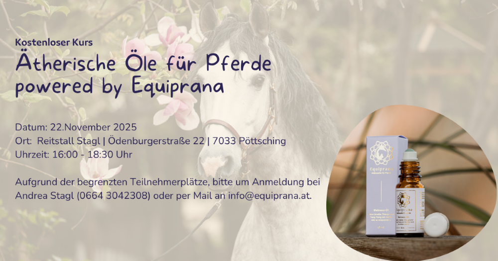 Infoabend Stagl